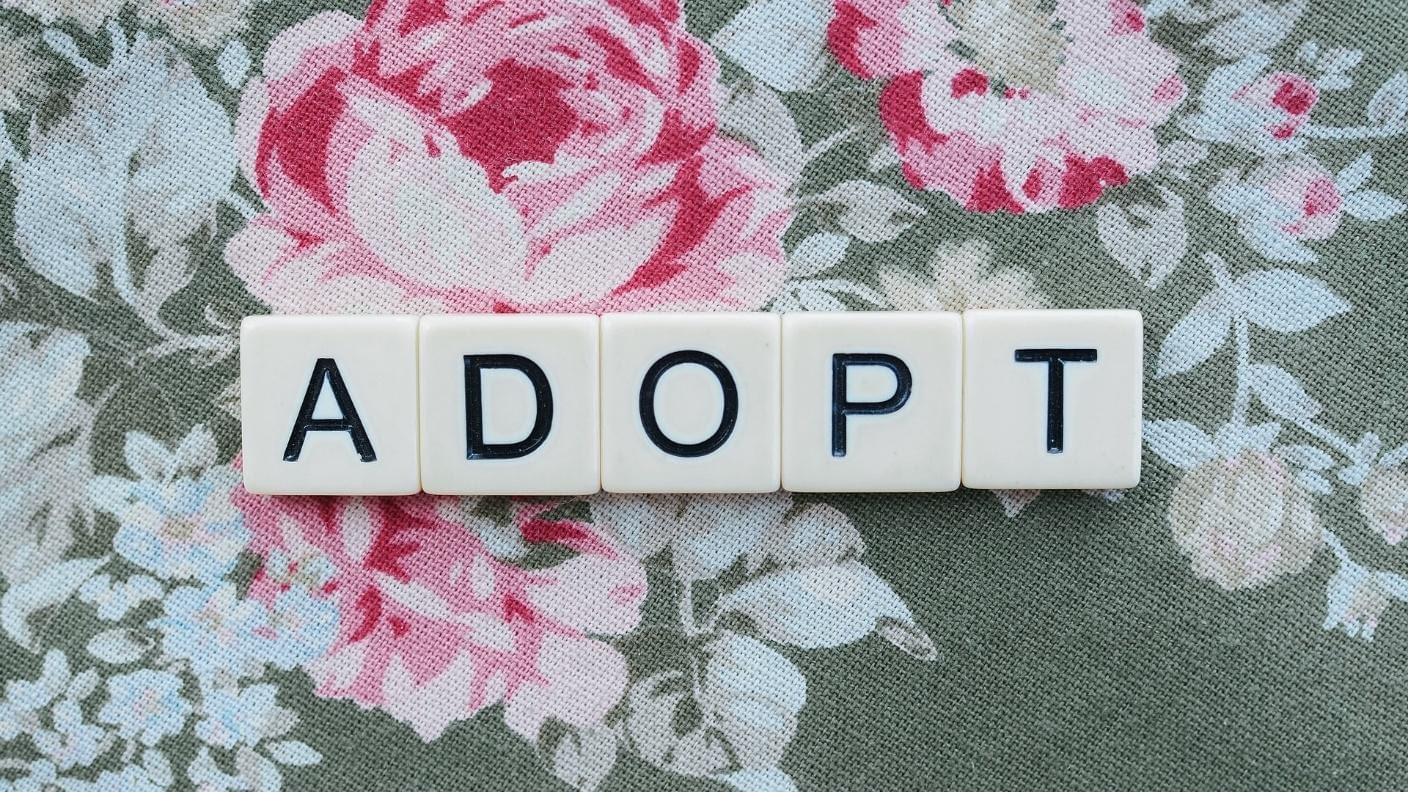 Private Adoption vs. Agency Adoption